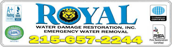 Royal Water and Flood Damage Cleanup Services